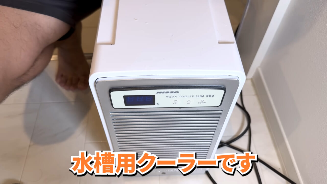 |「マジで育てるのか…」お風呂で『タラバガニ』を飼ったら…。「死んだら食材です」驚きの動画に話題殺到。