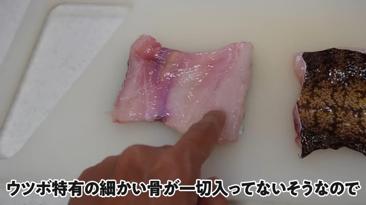 ｜「嚙まれたらエグれる…」「アレの匂い」海のプールに取り残された『モンスター』を捕獲。実際に食べてみた結果。