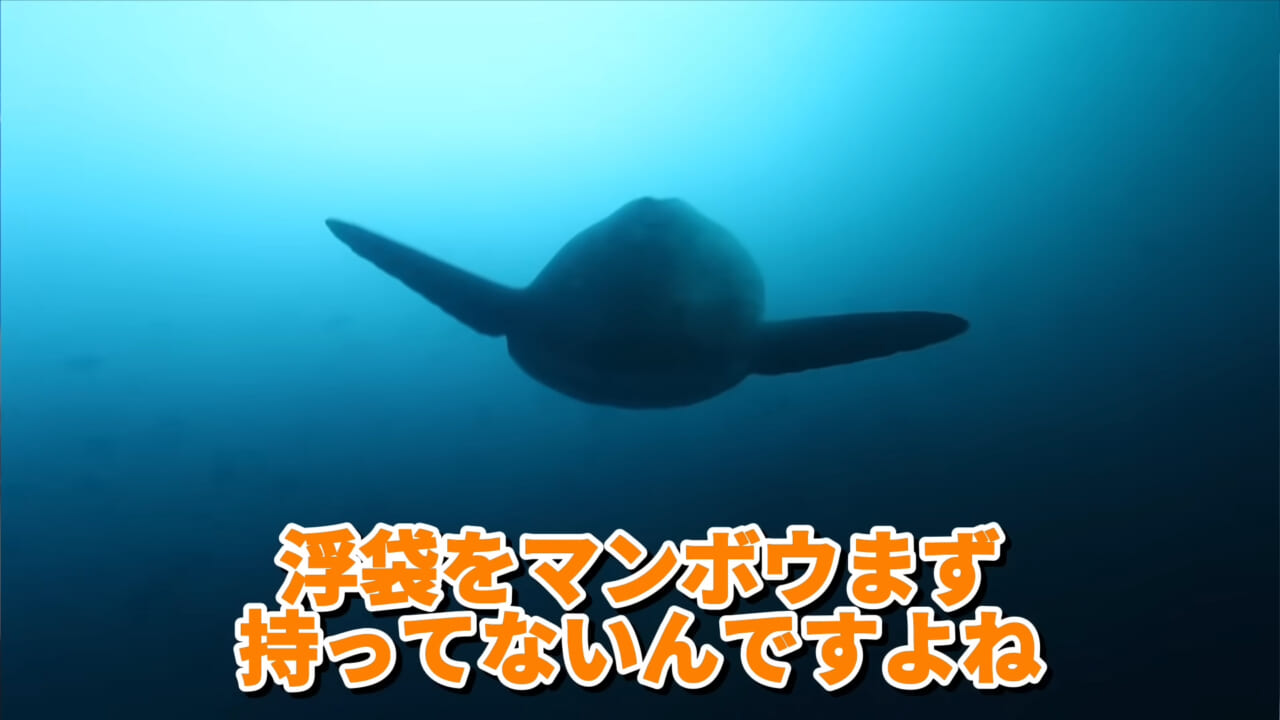 ｜「脳みそ小さすぎ」「これは脱帽だわ」マンボウをさばいた結果がとんでもなかった。