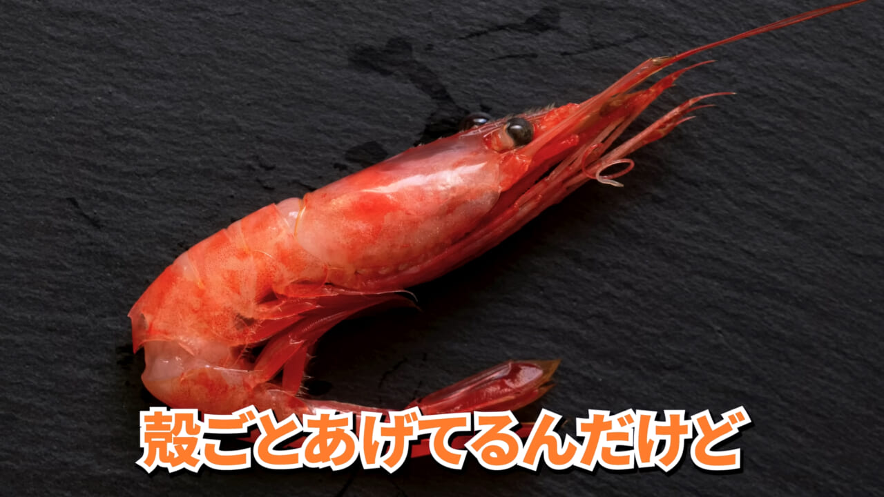 |「マジで育てるのか…」お風呂で『タラバガニ』を飼ったら…。「死んだら食材です」驚きの動画に話題殺到。