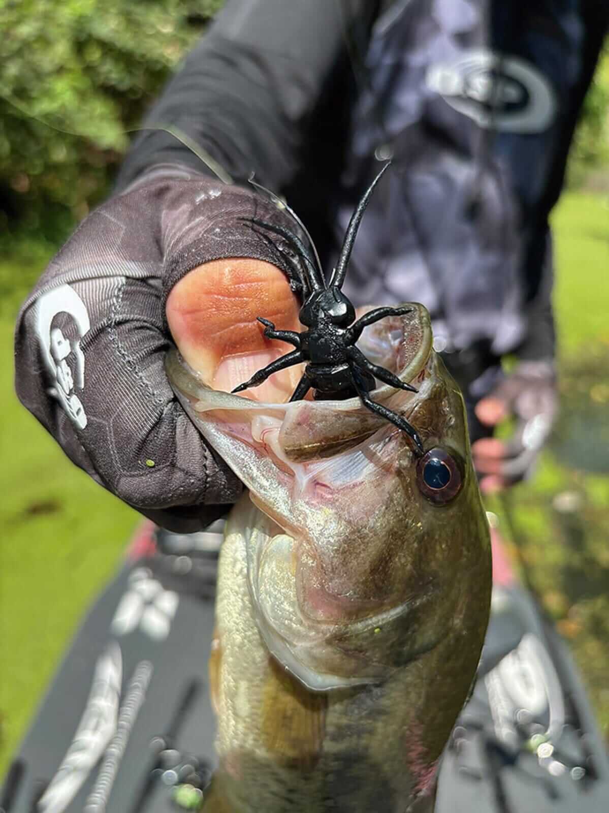 ｜「同じことをやっていたら勝てません」プロが教える『釣りウマ養成講座』。釣れる人、釣れない人の差とは一体…？
