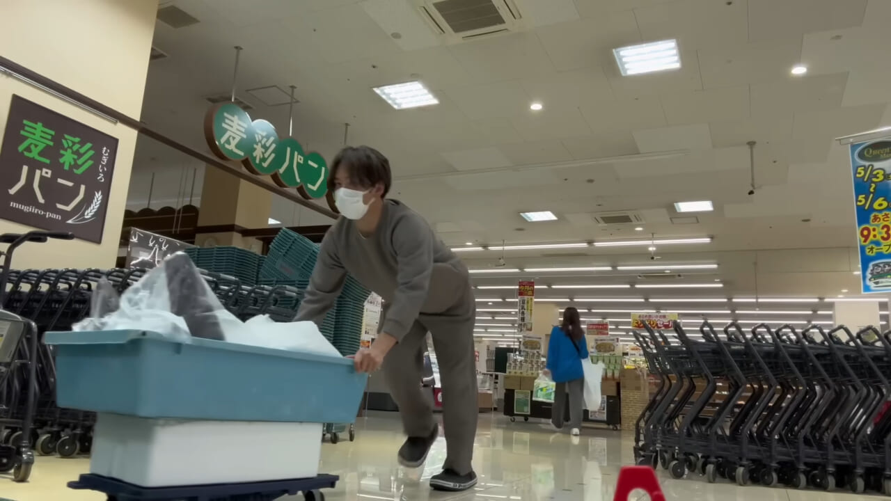 |「脳みそ小さすぎ」「これは脱帽だわ」マンボウをさばいた結果がとんでもなかった。