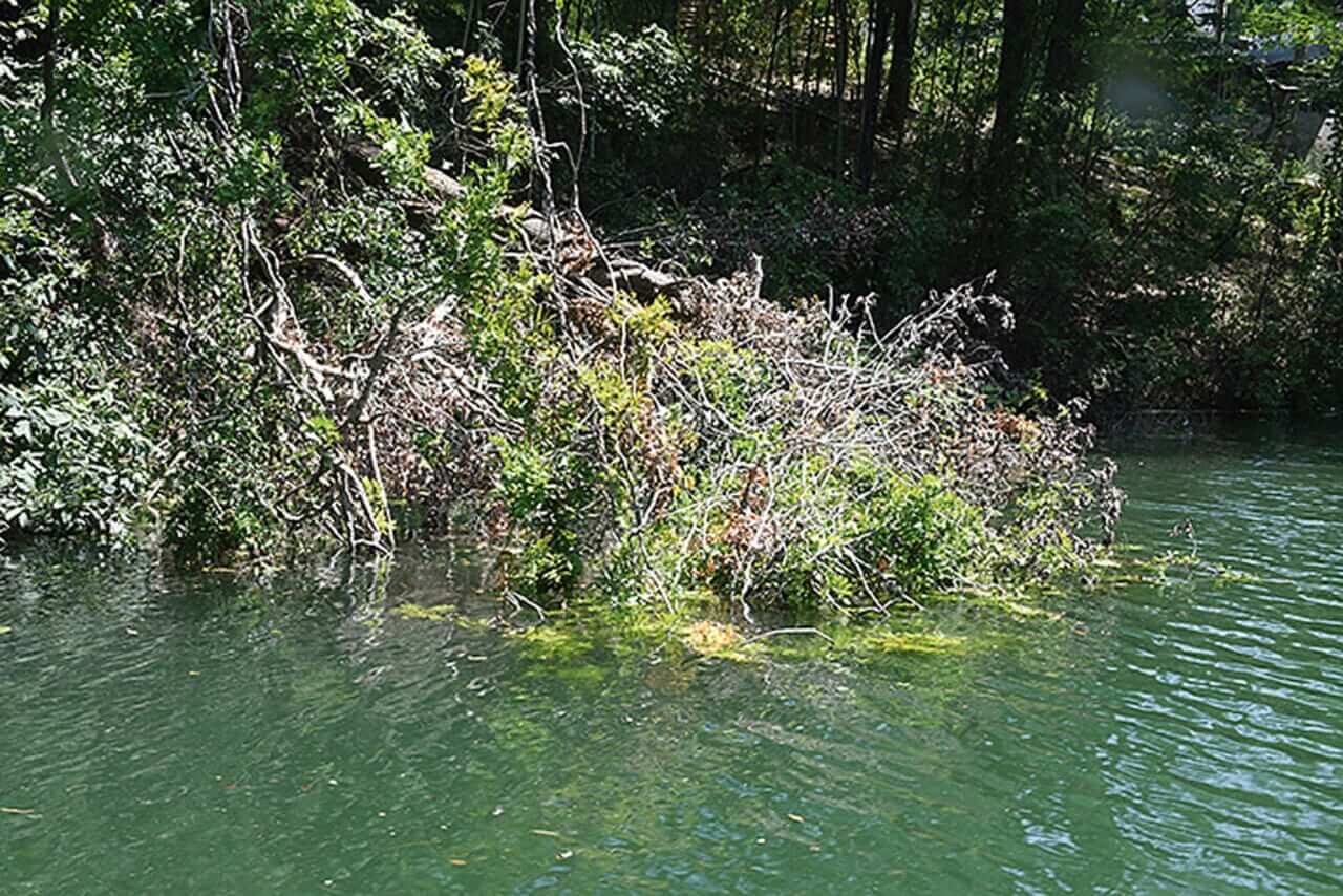 ｜「同じことをやっていたら勝てません」プロが教える『釣りウマ養成講座』。釣れる人、釣れない人の差とは一体…？