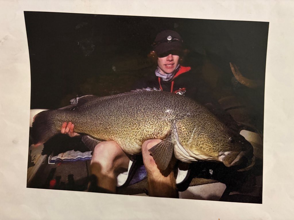 |「超珍しい」野生のコアラに遭遇!釣って、走って、出会った2800km。オーストラリア・メルボルンロードトリップ。