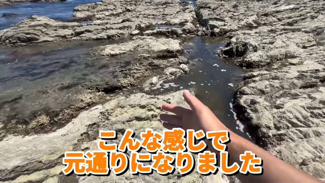 ｜「コレ、普通に捕まります」“磯の水”を全部抜いたら、出てきたものがヤバすぎた。「海保に通報です」