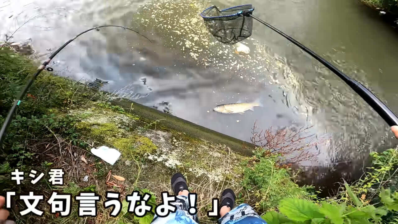 ｜「うわぁ、キタキタ」「デカすぎ…」“巨大魚”が潜む川に食パンを投入→10秒後にまさかの『化け物』サイズが登場。