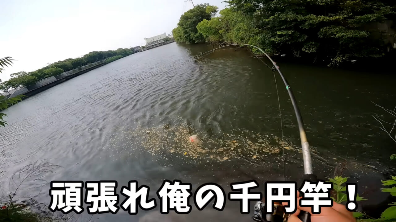 ｜「うわぁ、キタキタ」「デカすぎ…」“巨大魚”が潜む川に食パンを投入→10秒後にまさかの『化け物』サイズが登場。