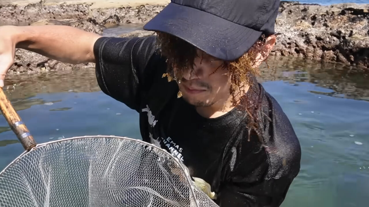 |「嚙まれたらエグれる…」「アレの匂い」海のプールに取り残された『モンスター』を捕獲。実際に食べてみた結果。