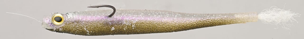 |野尻湖を制する「水面下5cm」のエラストマー戦略。房総の達人・羽生和人が魅せるスモールマウス攻略と進化するワームテクノロジー