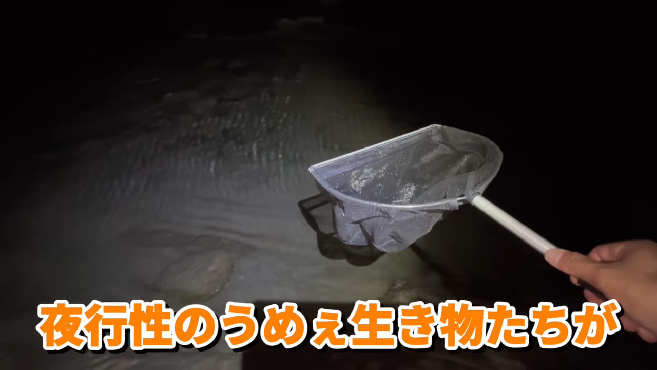 |「コレ、普通に捕まります」“磯の水”を全部抜いたら、出てきたものがヤバすぎた。「海保に通報です」