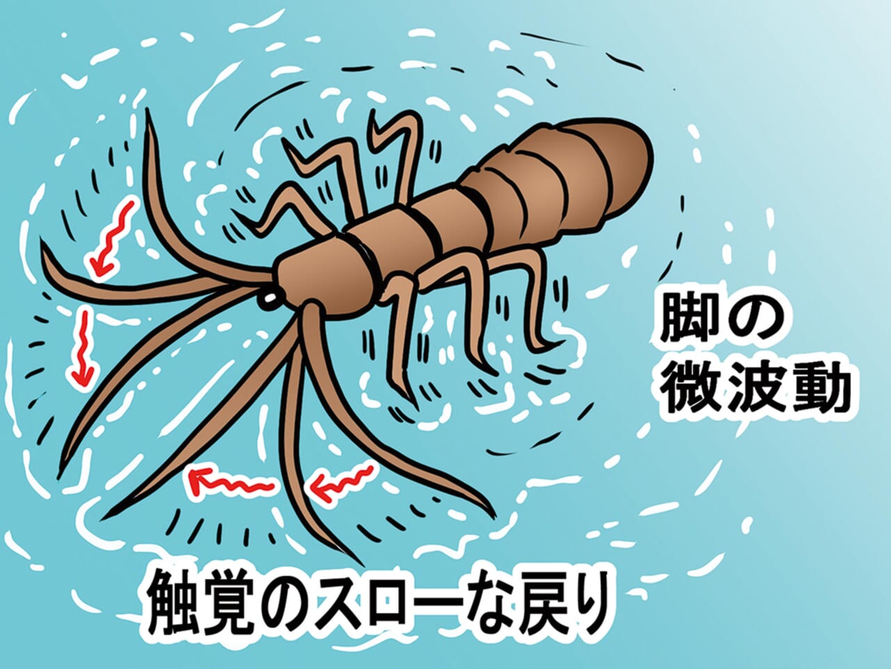 |夏の高滝湖をトップでハメる!オリキン流ボイル攻略とエリア選択の思考法
