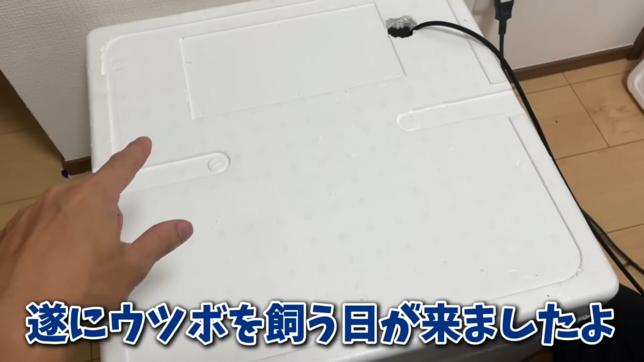 ｜「そんなことあるかぁ！」鮮魚店で売っていた『ウツボ』をペットにしたらヤバすぎた。衝撃の飼育シーンに話題殺到。