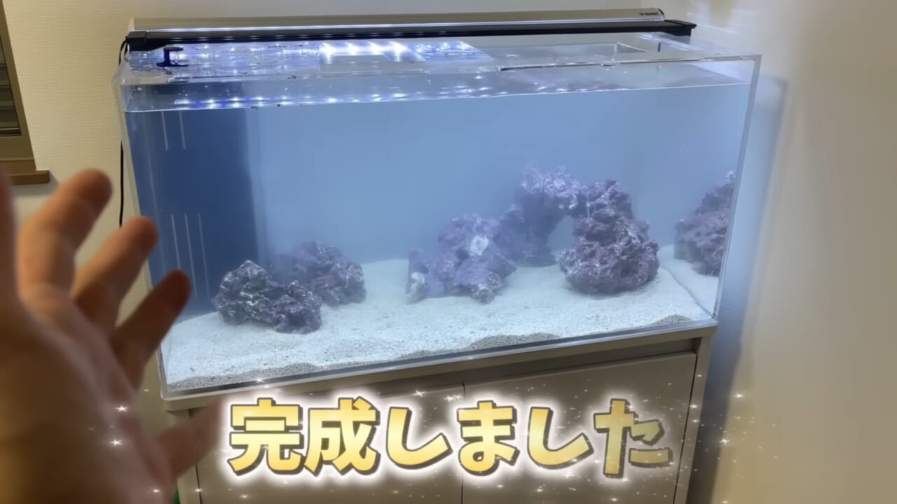 ｜「そんなことあるかぁ！」鮮魚店で売っていた『ウツボ』をペットにしたらヤバすぎた。衝撃の飼育シーンに話題殺到。