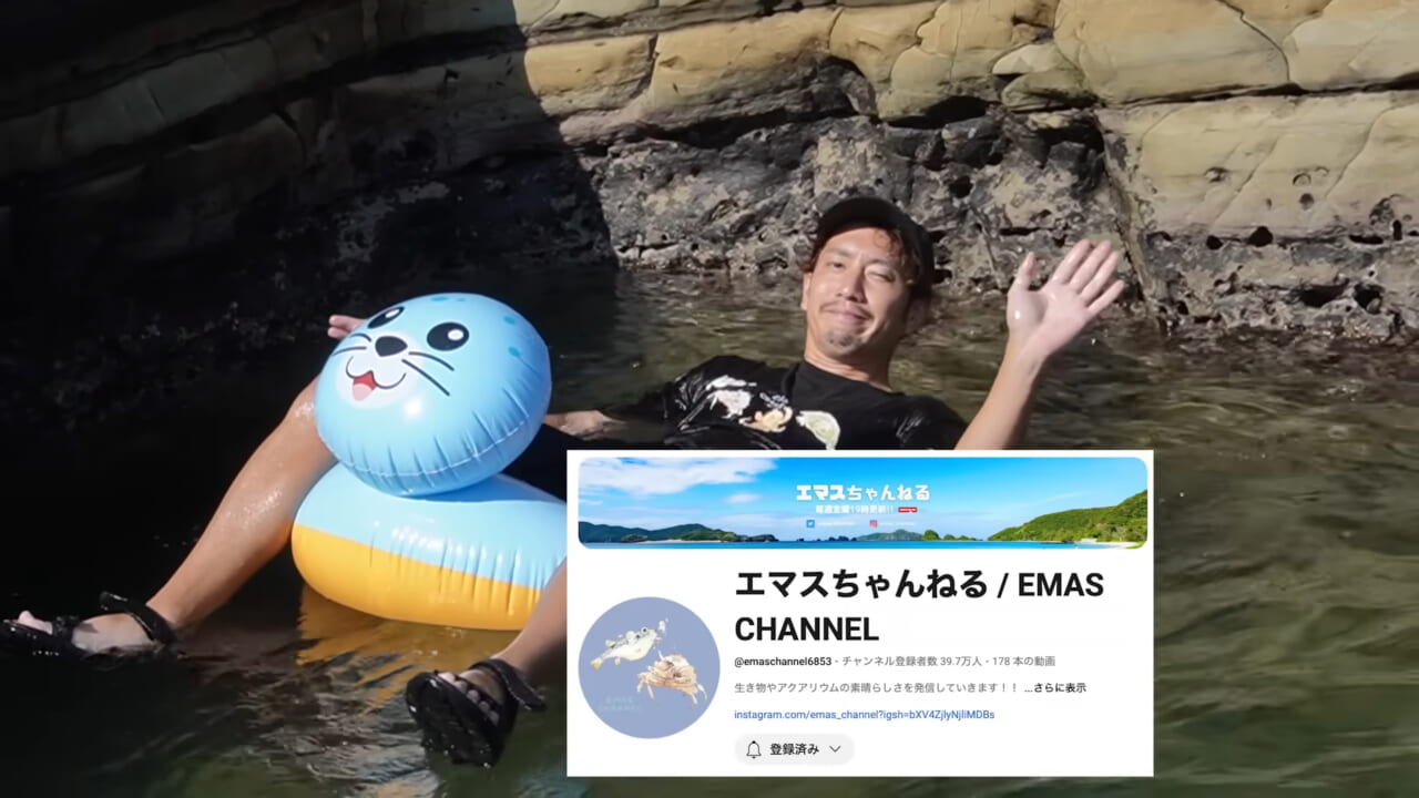 ｜「嚙まれたらエグれる…」「アレの匂い」海のプールに取り残された『モンスター』を捕獲。実際に食べてみた結果。