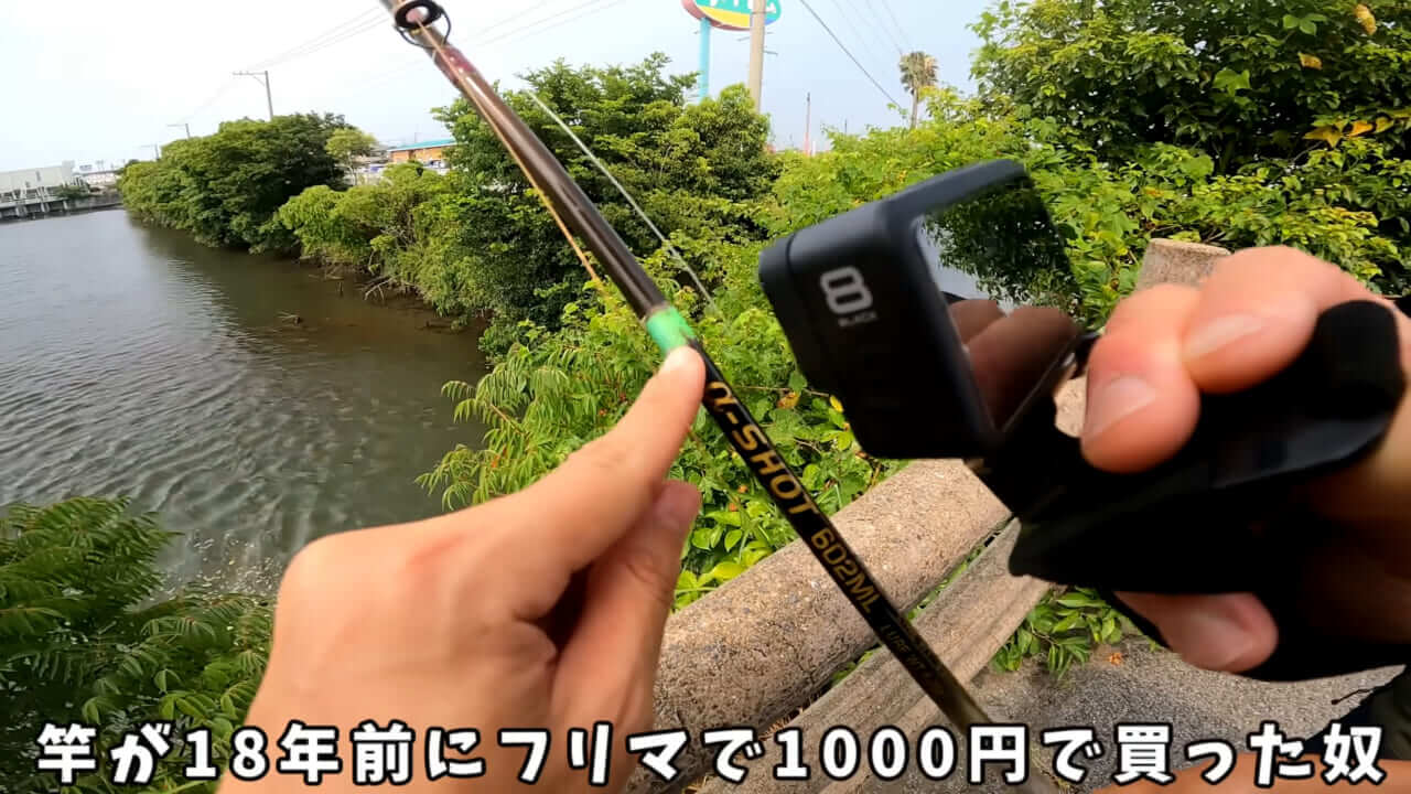 ｜「うわぁ、キタキタ」「デカすぎ…」“巨大魚”が潜む川に食パンを投入→10秒後にまさかの『化け物』サイズが登場。