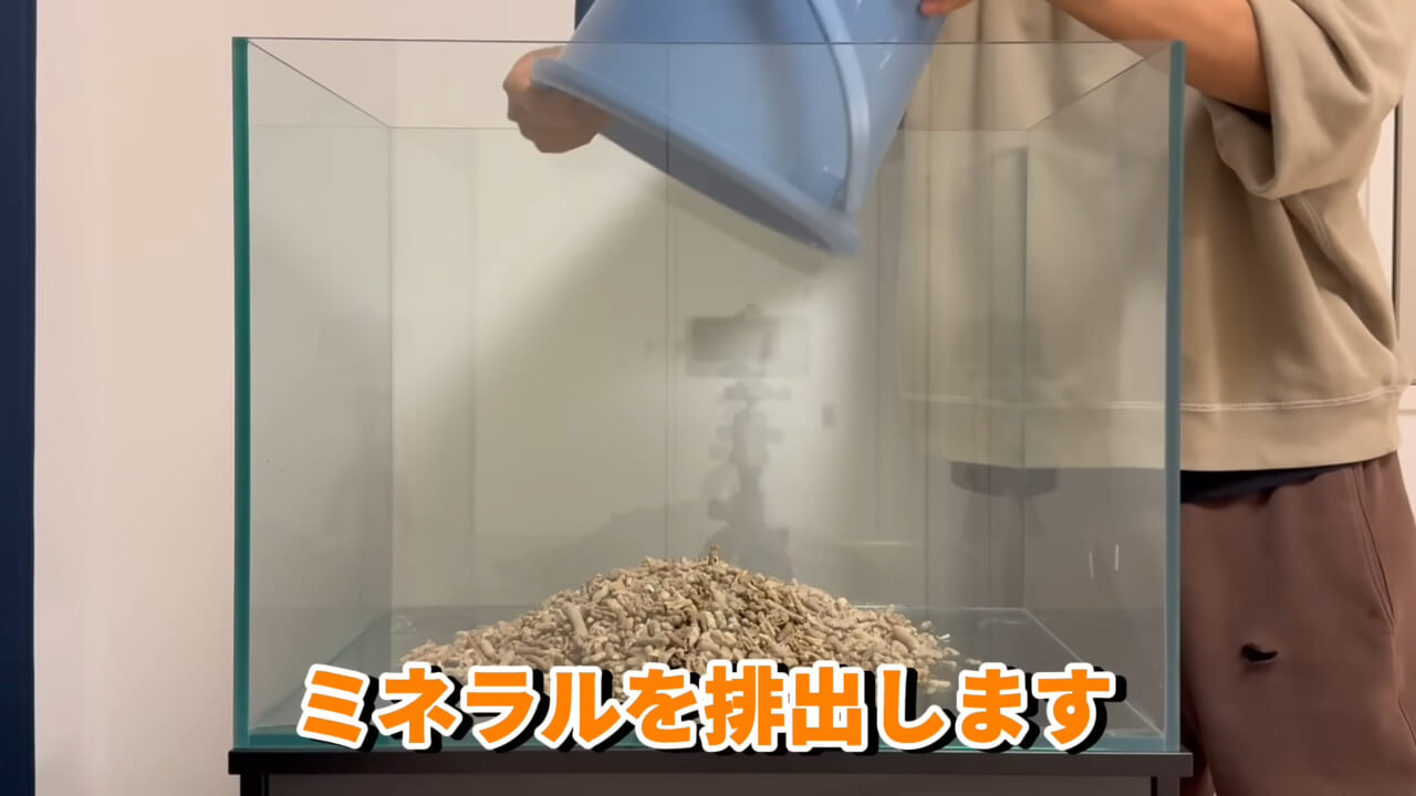 |「これはマジでやばい」スーパーに売れ残っていた『化け物』を飼育してみると…。「すごい映像」「感動しました」