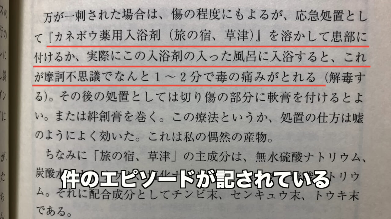 |「身体張りすぎやん…」「刺されて検証」毒魚”ゴンズイ”に刺されたら入浴剤で治るは本当なのか…