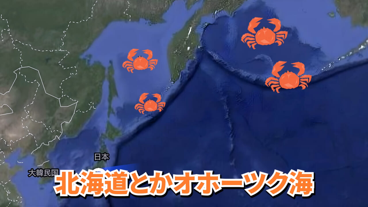 |「マジで育てるのか…」お風呂で『タラバガニ』を飼ったら…。「死んだら食材です」驚きの動画に話題殺到。