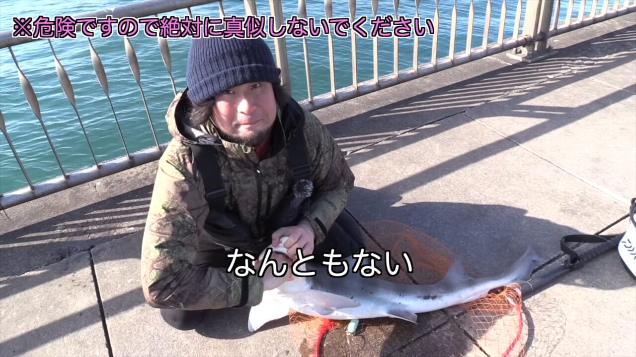 ｜「マジかよ。やばすぎ」「危険すぎる…」サメに噛まれるとどうなるのか身をもって検証したYouTuberがやばすぎた…