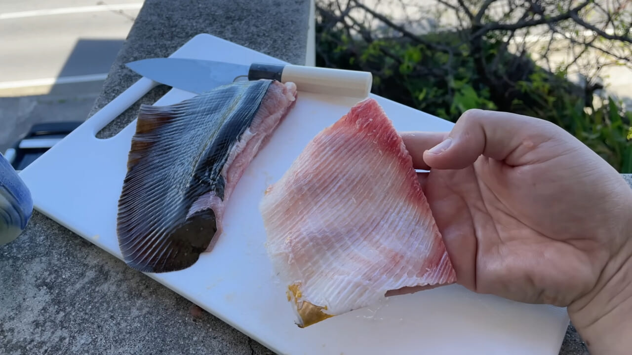 ｜「うぉー、痛ってえええ」東京湾にも生息する『身近な危険生物』に刺されたらこうなった。「この黒いネバネバが“毒液”です」