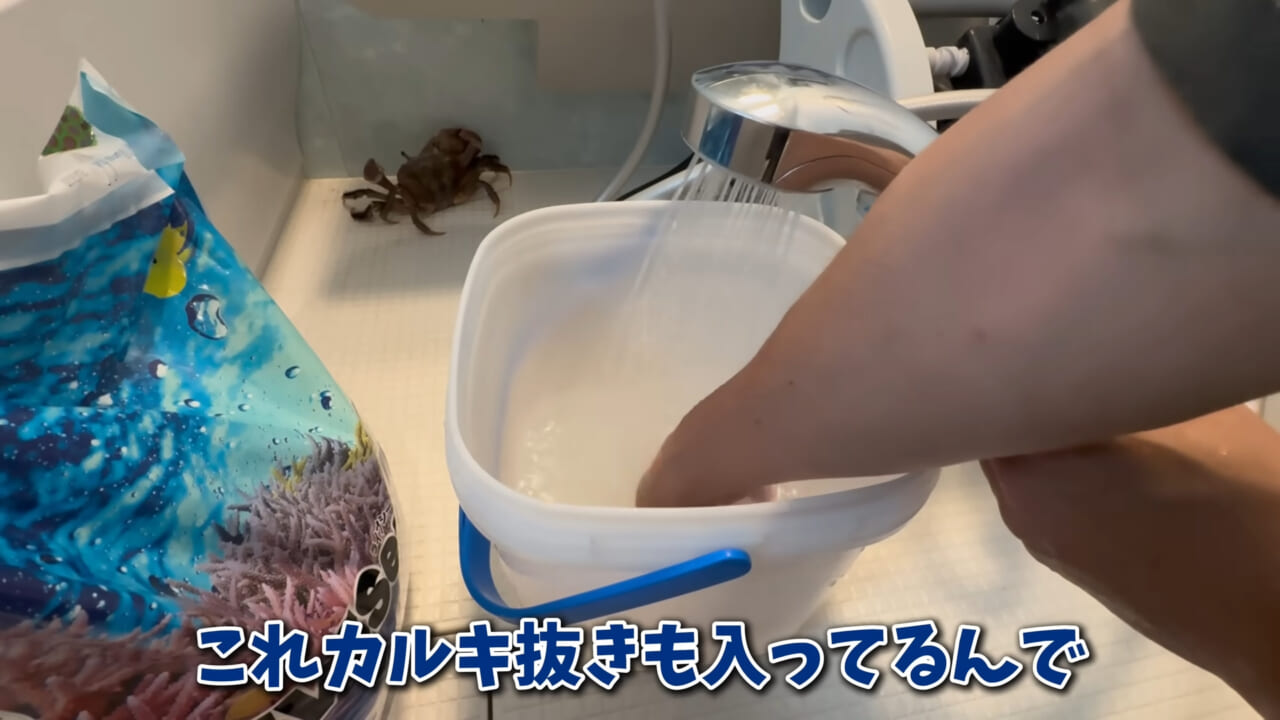 ｜「まさか本当に」「中でめちゃくちゃ動いてる」スーパーに“1000円”で売っていた『サメの卵』を温めた結果。「家族にします」