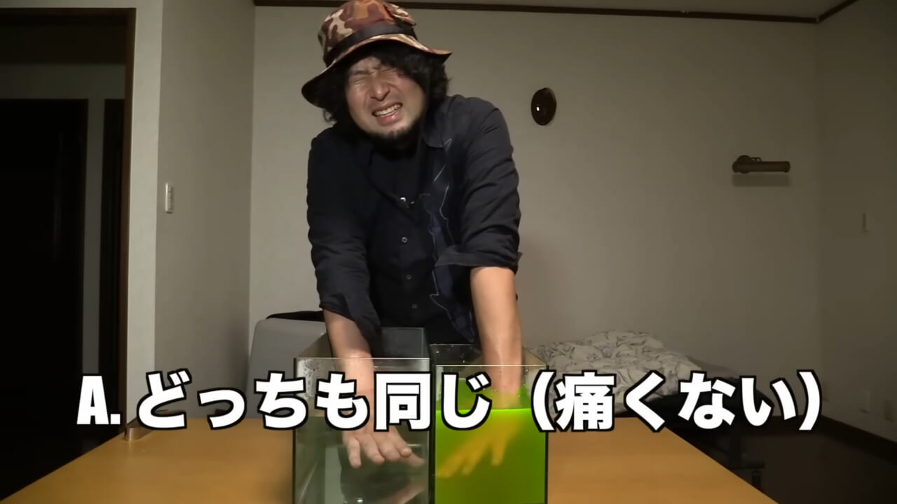 |「身体張りすぎやん…」「刺されて検証」毒魚”ゴンズイ”に刺されたら入浴剤で治るは本当なのか…