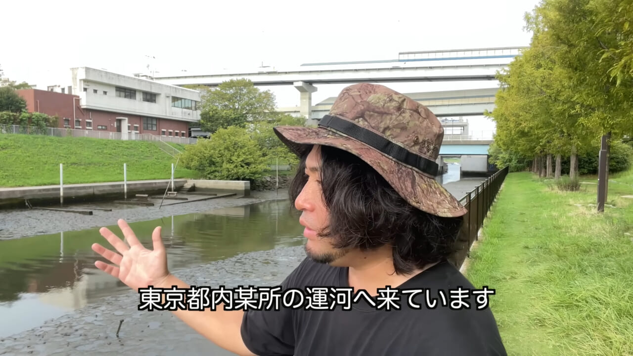 ｜「うぉー、痛ってえええ」東京湾にも生息する『身近な危険生物』に刺されたらこうなった。「この黒いネバネバが“毒液”です」