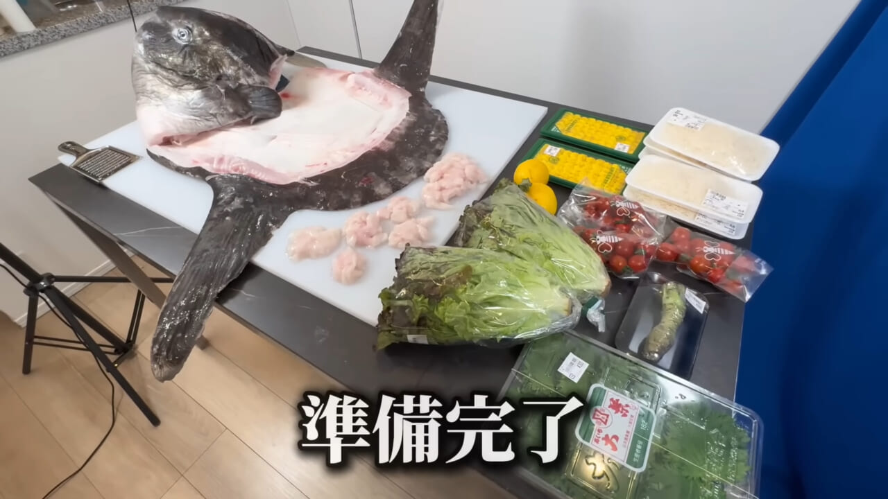 ｜「脳みそ小さすぎ」「これは脱帽だわ」マンボウをさばいた結果がとんでもなかった。