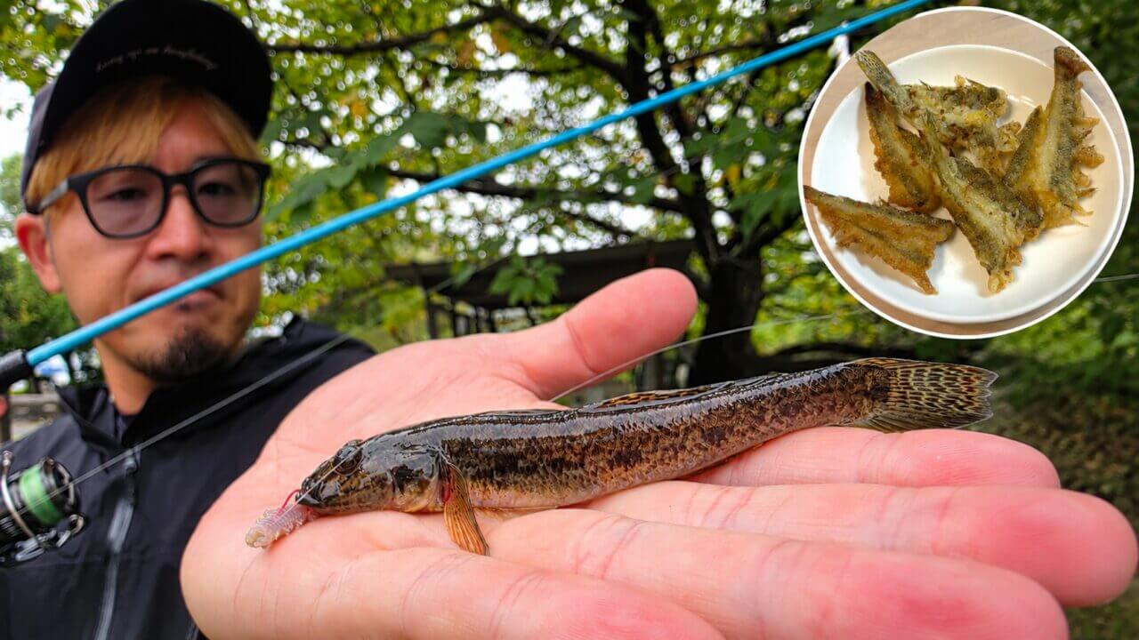 ｜【専用タックルはいらない！】安・近・短、これが江戸前の釣り。晩夏の都会でハゼを釣って食う！