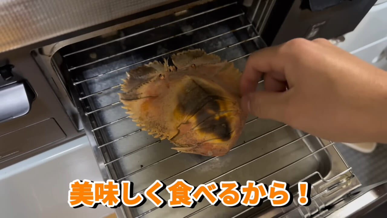 |「これはマジでやばい」スーパーに売れ残っていた『化け物』を飼育してみると…。「すごい映像」「感動しました」
