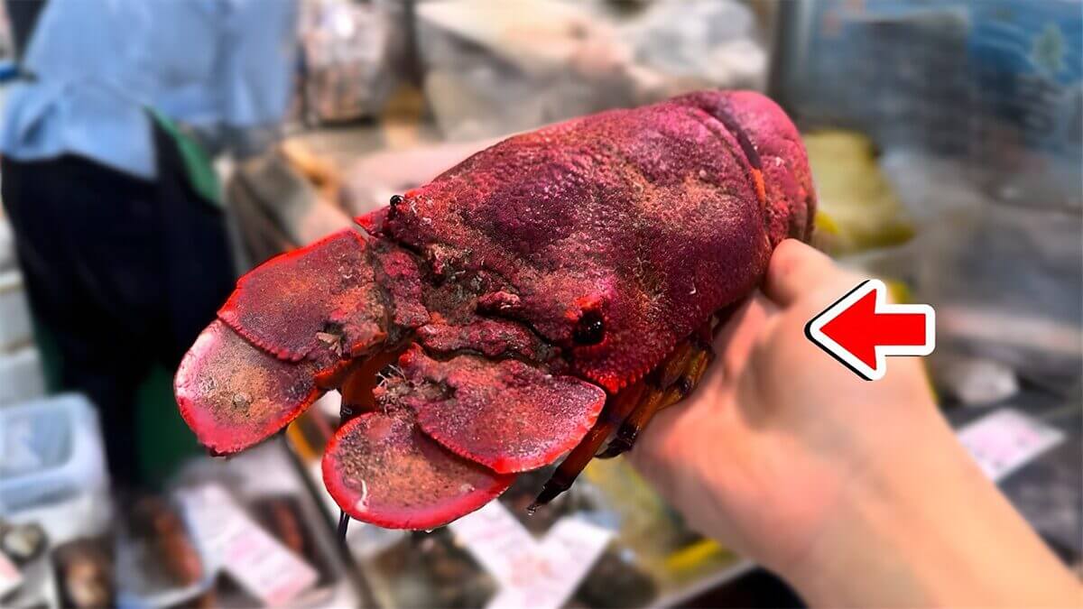 ｜「これはマジでやばい」スーパーに売れ残っていた『化け物』を飼育してみると…。「すごい映像」「感動しました」
