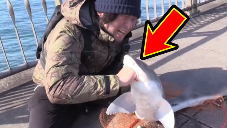 「マジかよ。やばすぎ」「危険すぎる…」サメに噛まれるとどうなるのか身をもって検証したYouTuberがやばすぎた…