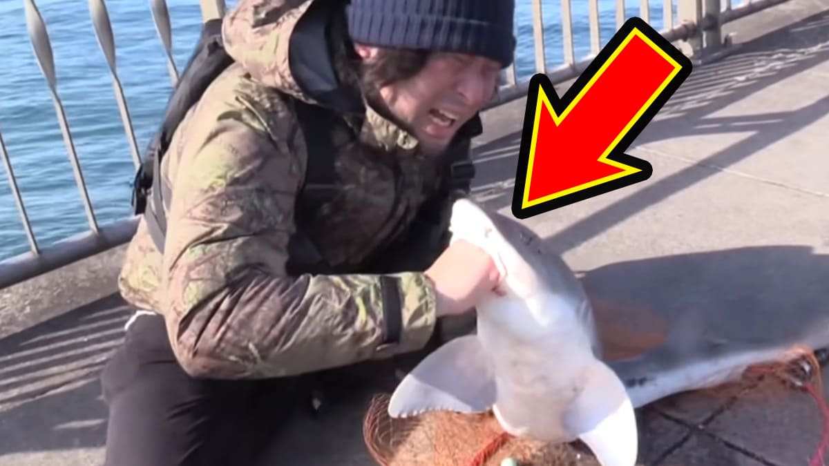 |「マジかよ。やばすぎ」「危険すぎる…」サメに噛まれるとどうなるのか身をもって検証したYouTuberがやばすぎた…