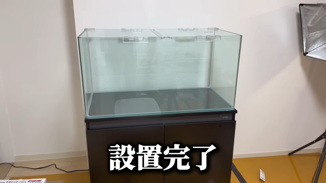 |「これはマジでやばい」スーパーに売れ残っていた『化け物』を飼育してみると…。「すごい映像」「感動しました」
