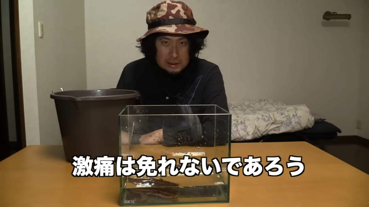 |「身体張りすぎやん…」「刺されて検証」毒魚”ゴンズイ”に刺されたら入浴剤で治るは本当なのか…