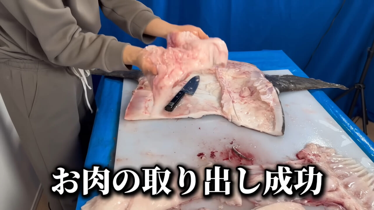 |「脳みそ小さすぎ」「これは脱帽だわ」マンボウをさばいた結果がとんでもなかった。