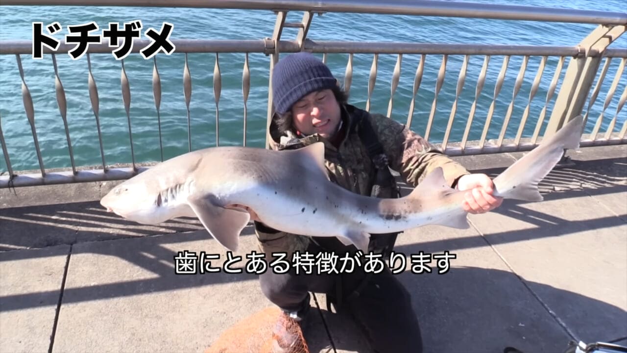 ｜「マジかよ。やばすぎ」「危険すぎる…」サメに噛まれるとどうなるのか身をもって検証したYouTuberがやばすぎた…