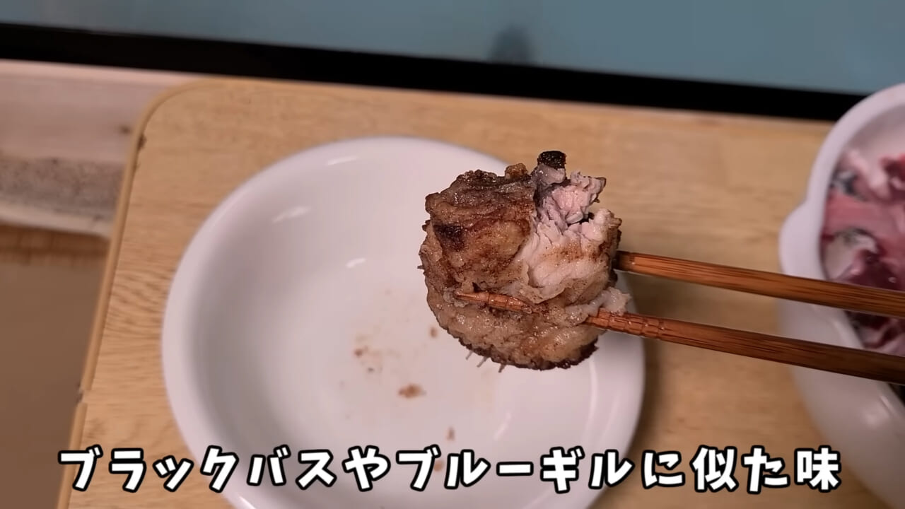 ｜「うわぁ、キタキタ」「デカすぎ…」“巨大魚”が潜む川に食パンを投入→10秒後にまさかの『化け物』サイズが登場。