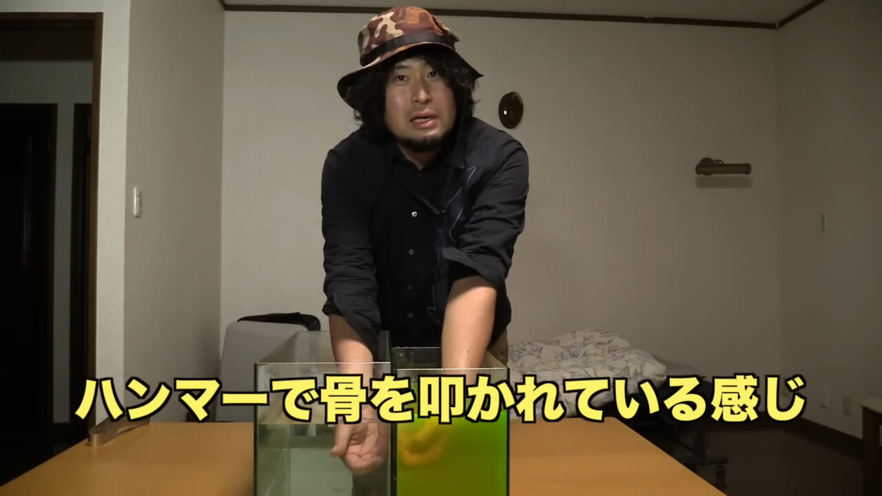 |「身体張りすぎやん…」「刺されて検証」毒魚”ゴンズイ”に刺されたら入浴剤で治るは本当なのか…