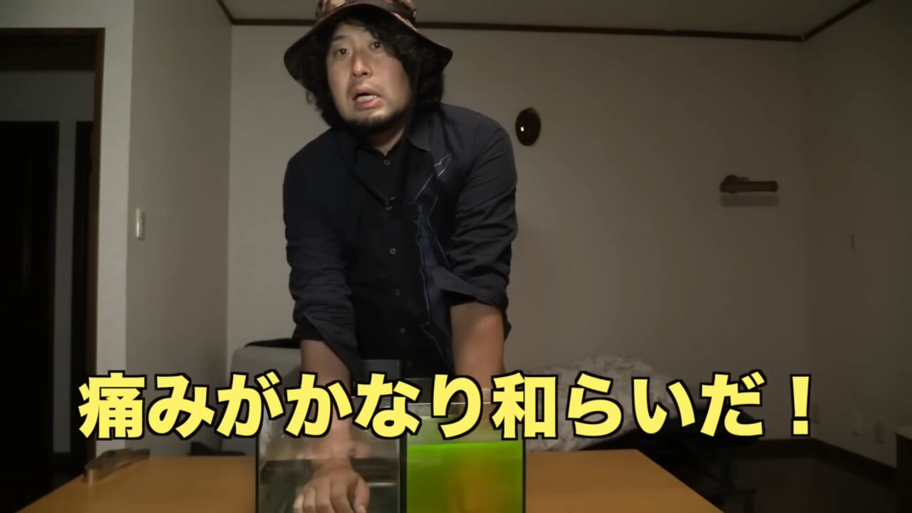 |「身体張りすぎやん…」「刺されて検証」毒魚”ゴンズイ”に刺されたら入浴剤で治るは本当なのか…