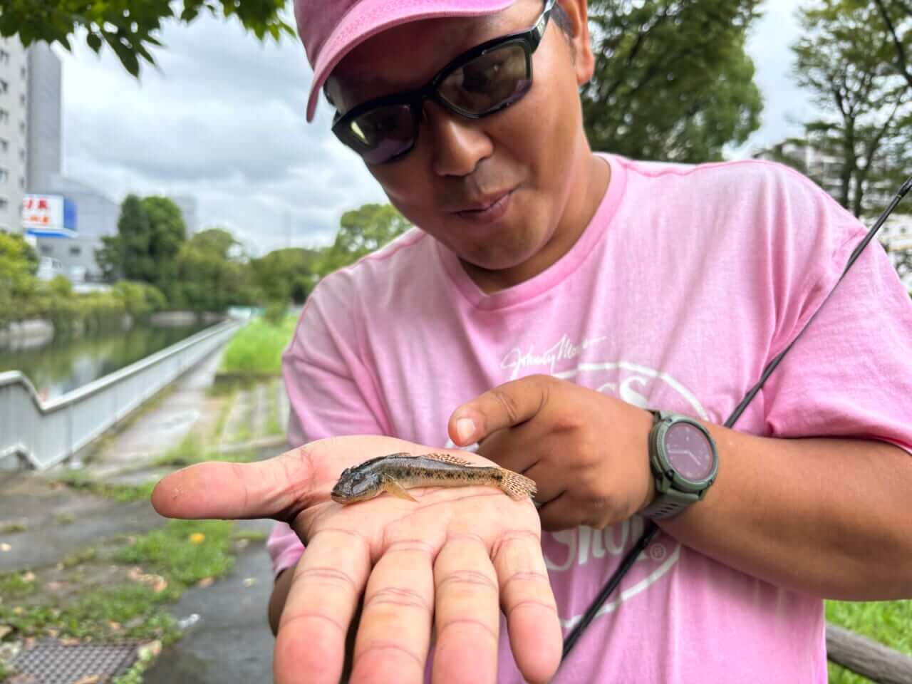 |【専用タックルはいらない!】安・近・短、これが江戸前の釣り。晩夏の都会でハゼを釣って食う!