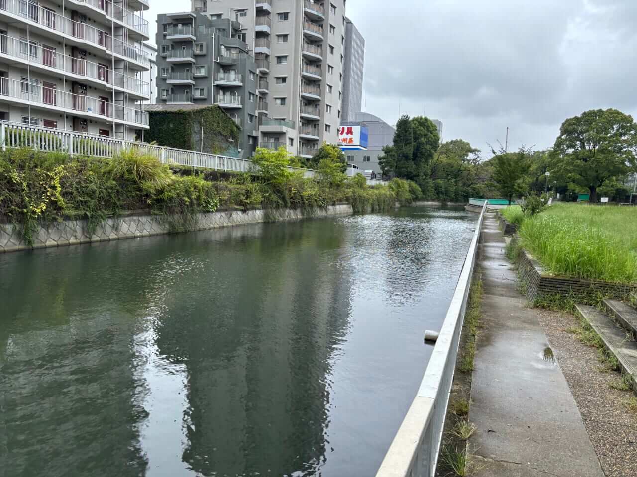 ｜【専用タックルはいらない！】安・近・短、これが江戸前の釣り。晩夏の都会でハゼを釣って食う！