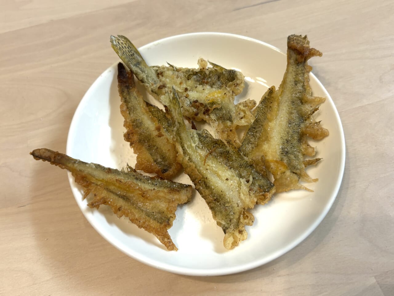 |【専用タックルはいらない!】安・近・短、これが江戸前の釣り。晩夏の都会でハゼを釣って食う!
