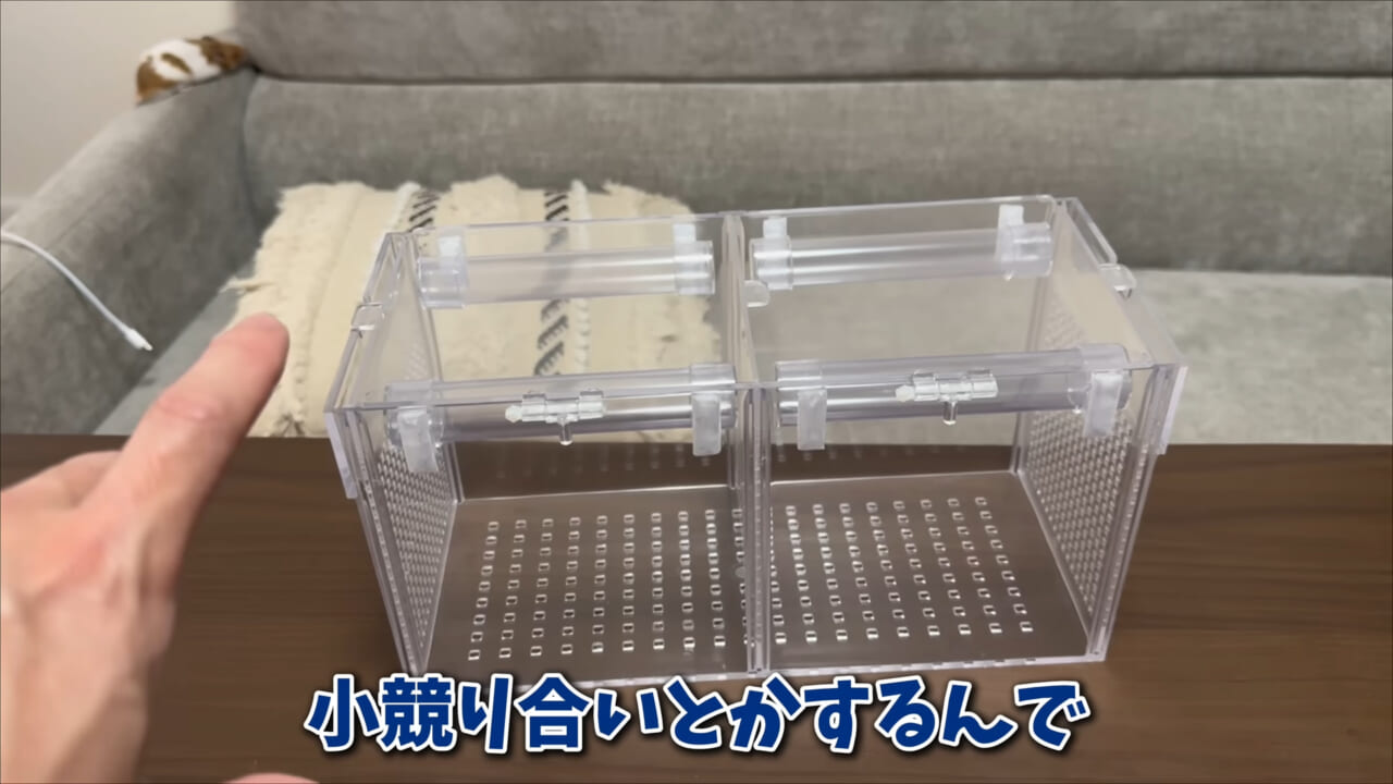 ｜「まさか本当に」「中でめちゃくちゃ動いてる」スーパーに“1000円”で売っていた『サメの卵』を温めた結果。「家族にします」