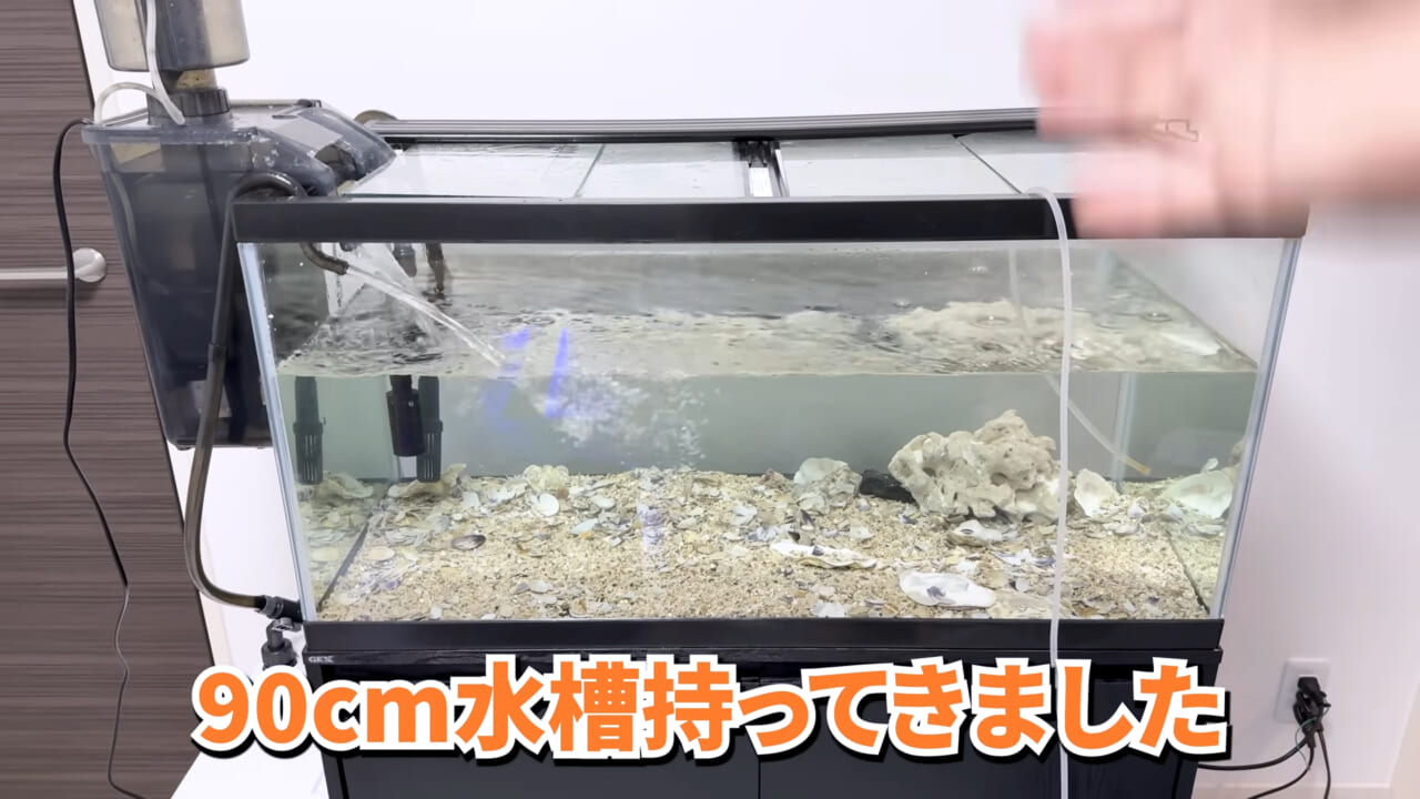 |「マジで育てるのか…」お風呂で『タラバガニ』を飼ったら…。「死んだら食材です」驚きの動画に話題殺到。
