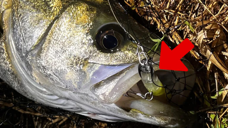 使い方が分かれば「バカみたいに釣れる！」ジャンル不明!?のシーバスルアー