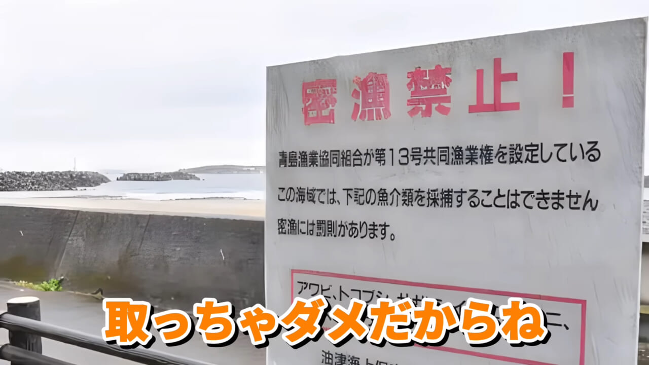 |「コレ、普通に捕まります」“磯の水”を全部抜いたら、出てきたものがヤバすぎた。「海保に通報です」