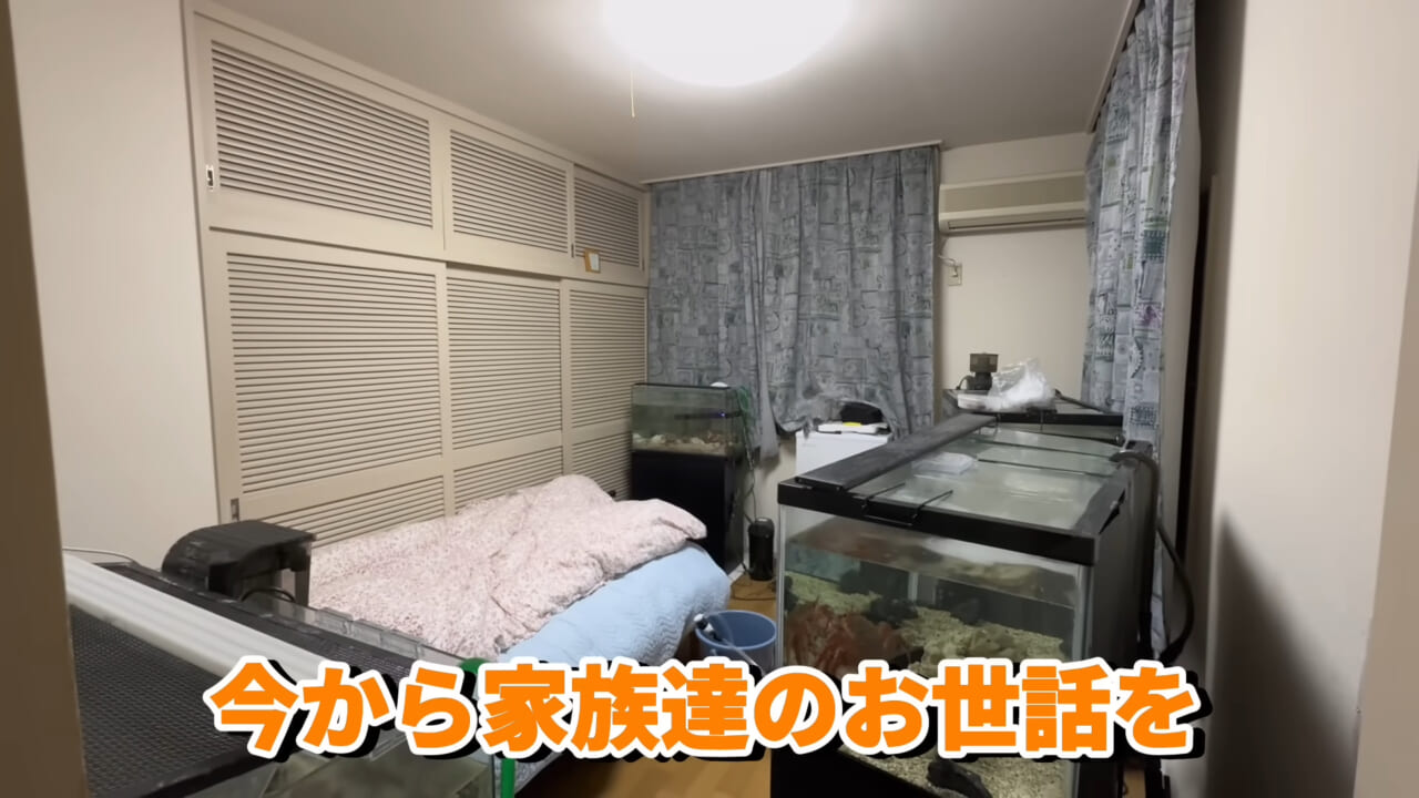 ｜「これはマジでやばい」スーパーに売れ残っていた『化け物』を飼育してみると…。「すごい映像」「感動しました」