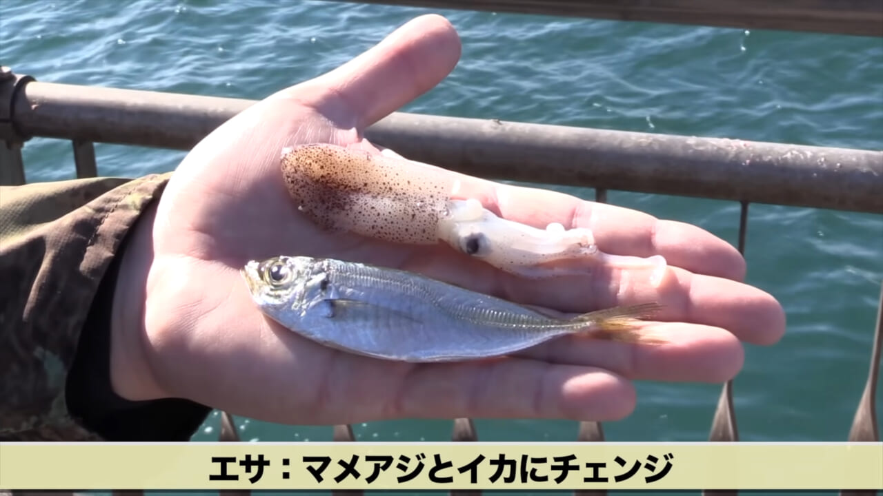 ｜「マジかよ。やばすぎ」「危険すぎる…」サメに噛まれるとどうなるのか身をもって検証したYouTuberがやばすぎた…