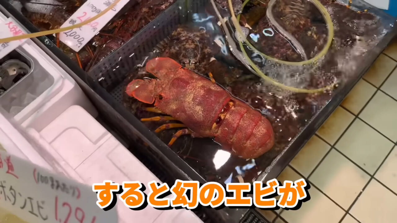 |「これはマジでやばい」スーパーに売れ残っていた『化け物』を飼育してみると…。「すごい映像」「感動しました」